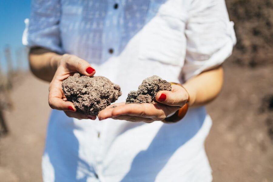 From Naples: All-Inclusive Mount Vesuvius Half-Day Tour - Shops, Snacks, and the Real World at the Top