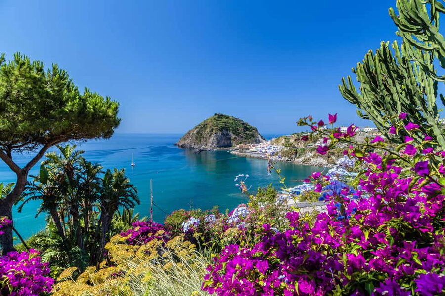From Naples: Amalfi Coast Day Trip with Sorrento & Positano - Sorrento free time plus the limoncello tasting stop