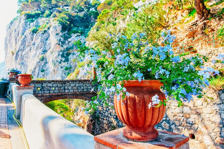 From Naples: Capri and Blue Grotto Day Tour - Blue Grotto: When It Happens, It Is Worth the Hype