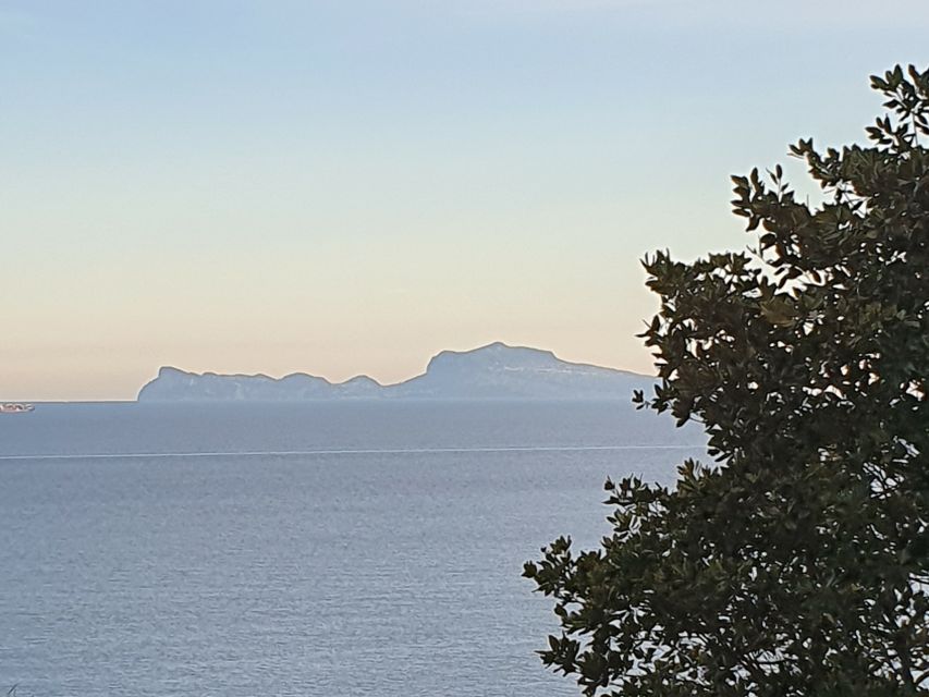 From Naples: Capri Day Trip with Lunch - The 40-Minute Hydrofoil Crossing: Worth It for the Time Trade-Off