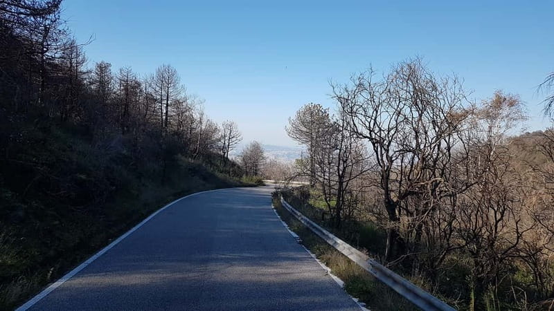 From Naples: Day Trip to Mount Vesuvius - Summit free time: photos, steam, and the wind factor