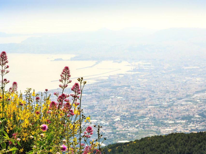 From Naples: Mount Vesuvius Transfer with Entry Tickets - Who this day trip fits best (and who should reconsider)