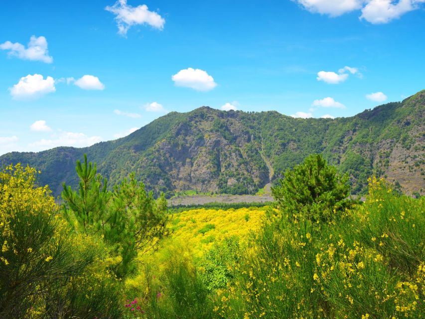 From Naples: Mount Vesuvius Transfer with Entry Tickets - Should you book this Mount Vesuvius transfer from Naples?