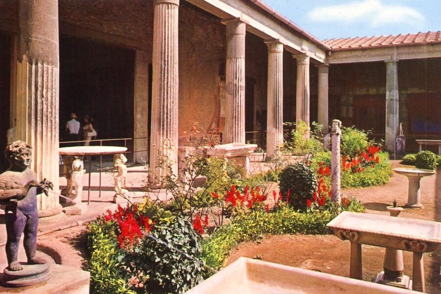 From Naples or Sorrento: Pompei Half-Day Tour - Free time inside the Archaeological Park: how to use it well