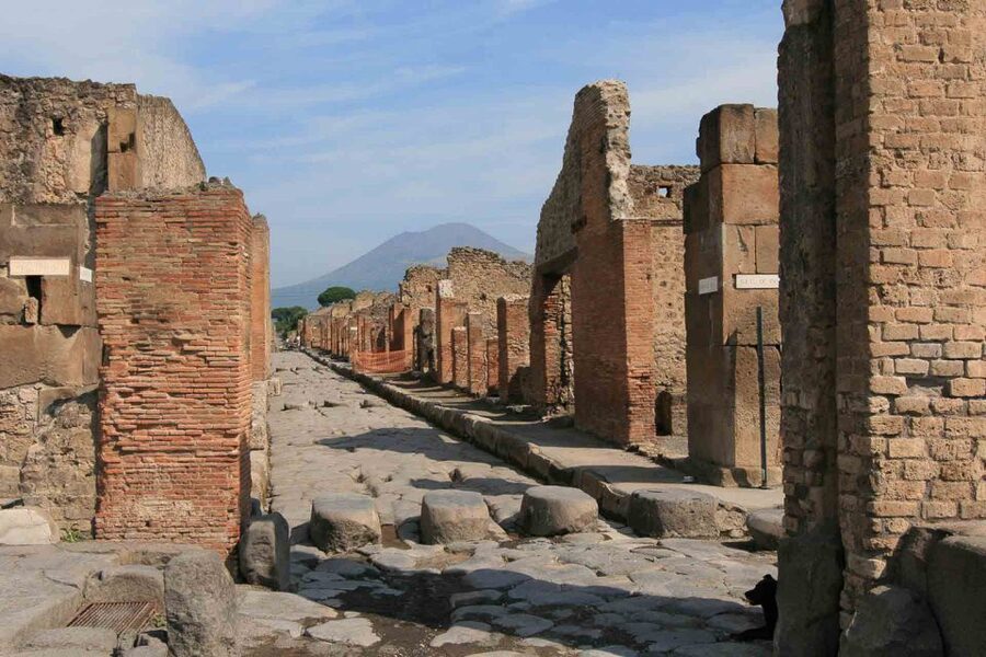 From Naples: Pompeii and Herculaneum Tour with Lunch - Pompeii ruins in a guided 2-hour sweep, and what you might miss