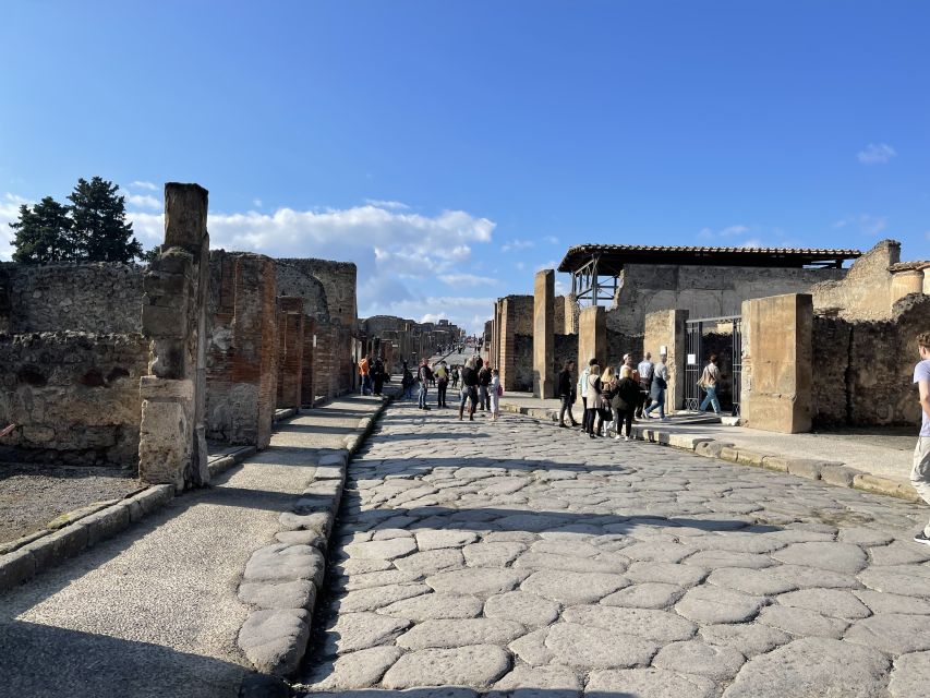 From Naples: Pompeii Guided Tour with Skip-the-Line Tickets - Key Things You’ll Notice On This Pompeii Day Trip