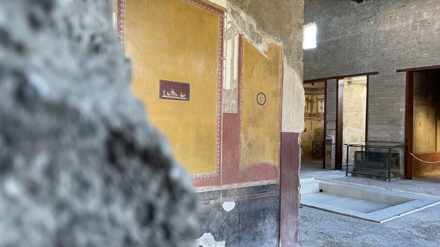 From Naples: Pompeii Guided Tour with Skip-the-Line Tickets - Naples to Pompeii, Without the Usual Headache