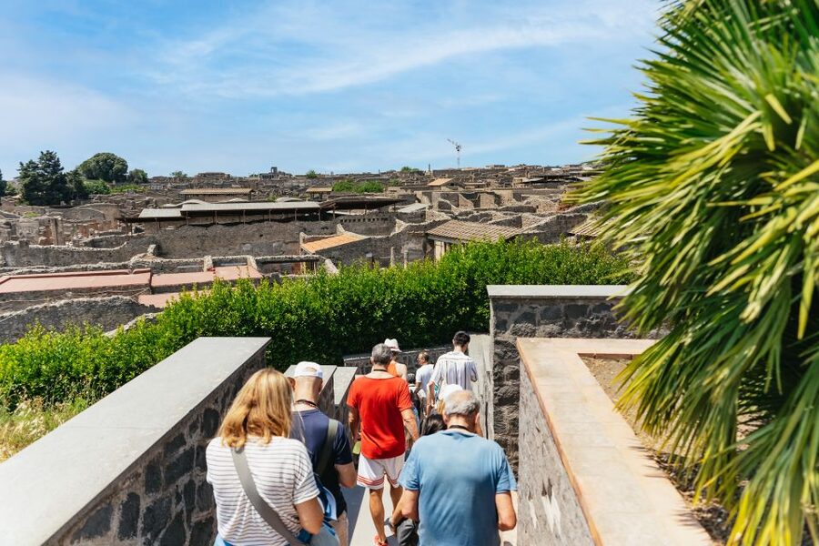 From Naples: Pompeii Ruins & Mount Vesuvius Day Tour - Language options: plan for English on Vesuvius