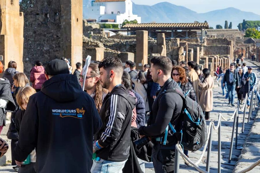 From Naples: Pompeii Skip-the-Line Entry Ticket and Tour - Naples Pickup to Pompeii: The Value of a Real Plan