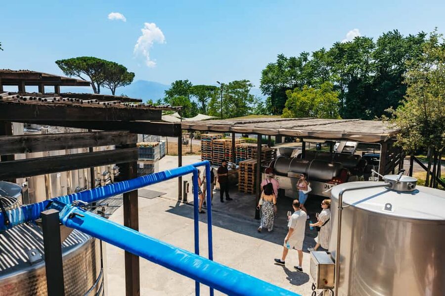 From Naples: Wine Tasting Tour on Vesuvius Slopes with Lunch - Wine tasting with lunch: what the pairing actually feels like