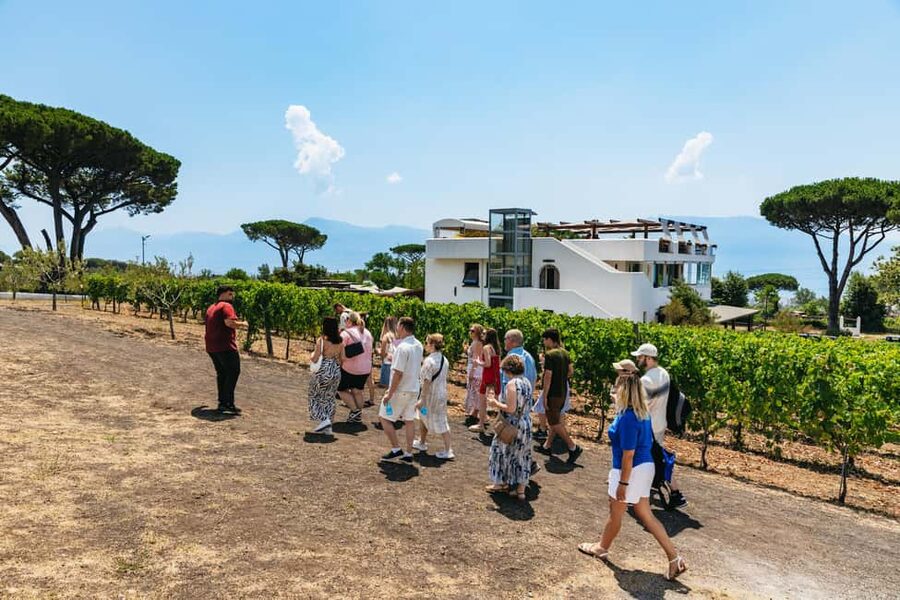 From Naples: Wine Tasting Tour on Vesuvius Slopes with Lunch - Buying bottles and products at the farm store