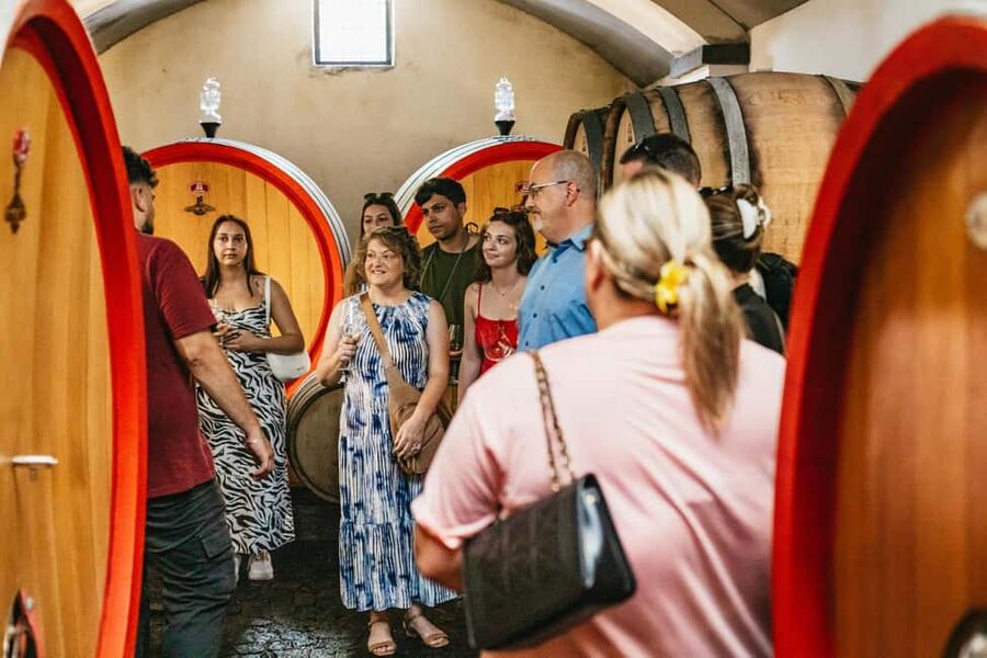 From Naples: Wine Tasting Tour on Vesuvius Slopes with Lunch - Should you book this Vesuvius wine and lunch tour?