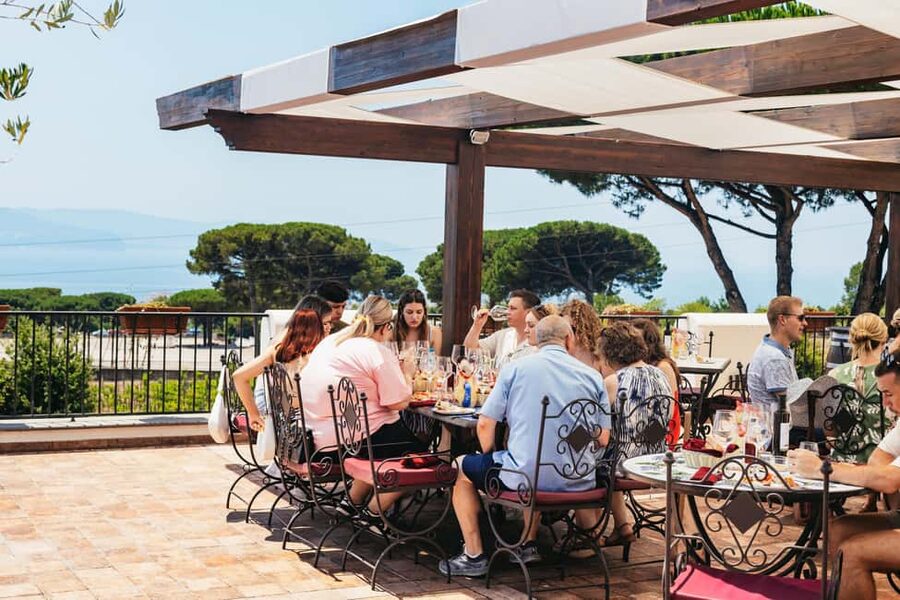 From Naples: Wine Tasting Tour on Vesuvius Slopes with Lunch - Mount Vesuvius stop: the winery setting and the welcome moment