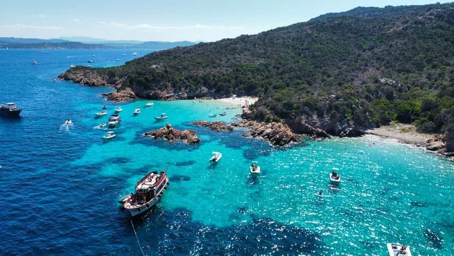 From Palau/La Maddal: Boat Tour of La Maddalena Archipelago - Logistics that matter in Palau: where people lose time
