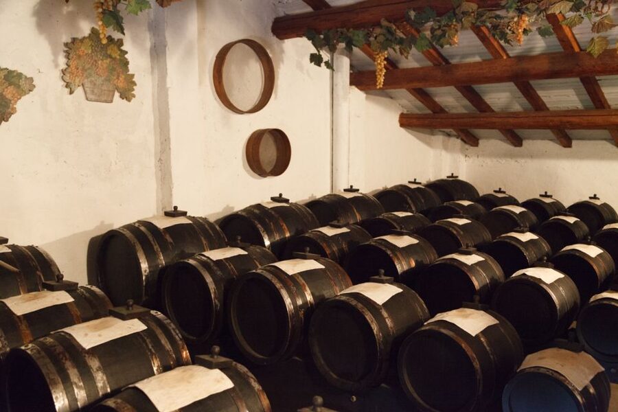 From Parma: Parmesan, Parma Ham & Balsamic Vinegar Tour - Key highlights worth penciling in