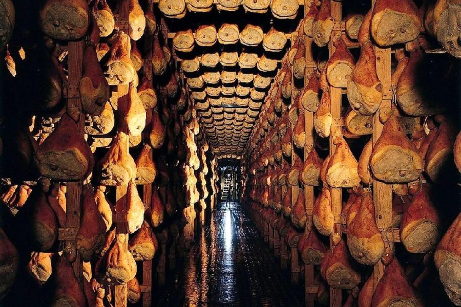From Parma: Parmesan, Parma Ham & Balsamic Vinegar Tour - How to Taste Like You Actually Mean It (and Not Just Sample)