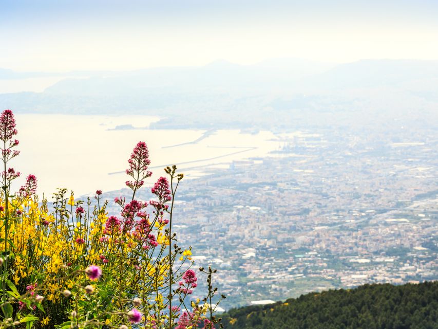 From Pompeii: Bus Transfer to Vesuvius with Park Entry Fee - The real value: transport plus park entry, not a guided day
