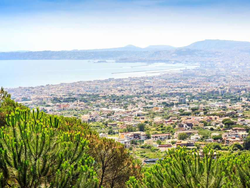 From Pompeii: Bus Transfer to Vesuvius with Park Entry Fee - The crater experience: what you see near the rim