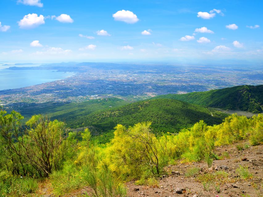 From Pompeii: Bus Transfer to Vesuvius with Park Entry Fee - Where you meet in Pompeii: Via Roma 32