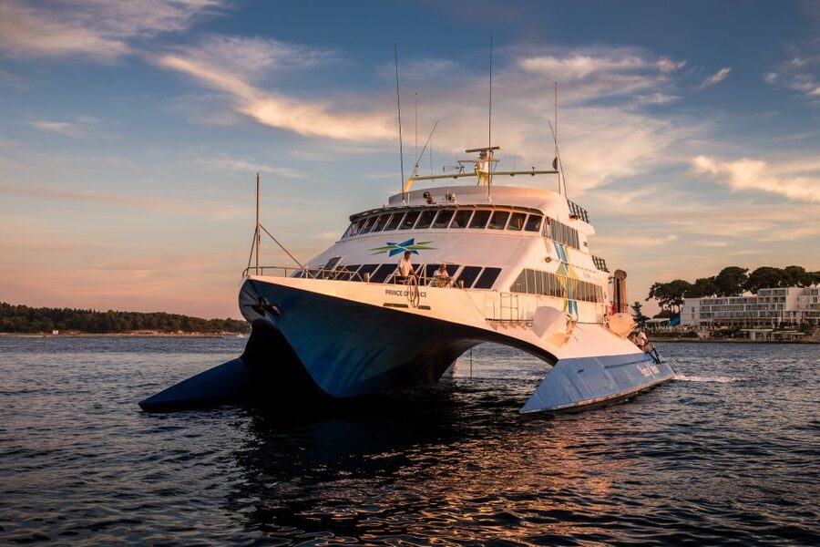 From Porec: Venice Catamaran Crossing One-Way or Round-Trip - Venice on your own: how to use your free time best