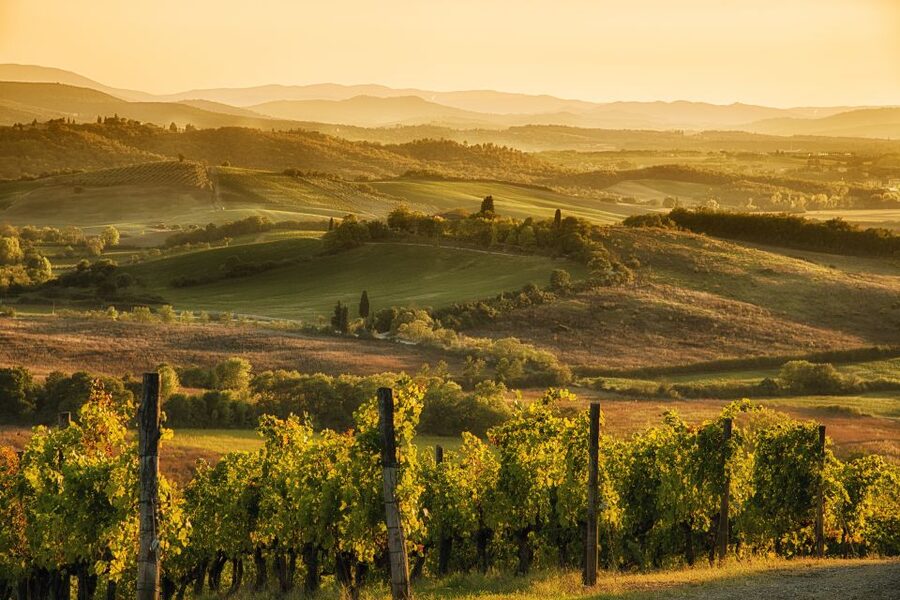 From Rome: Discover Florence and Pisa in a Full-Day Tour - Rome Pickup and the Road Trip to Tuscany