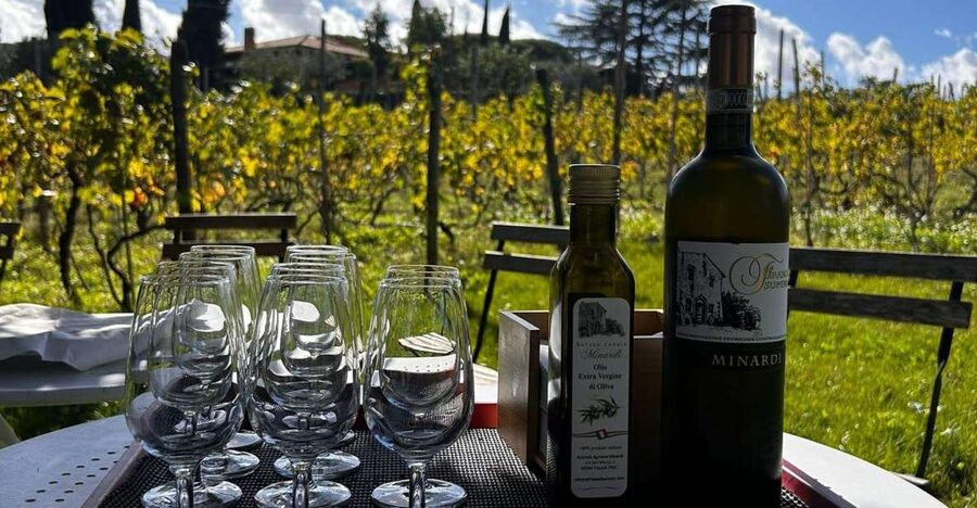From Rome: Half-Day Frascati Wine Tour with Farmhouse Lunch - Town-Stop Wine and a Traditional Snack Before the Vineyards