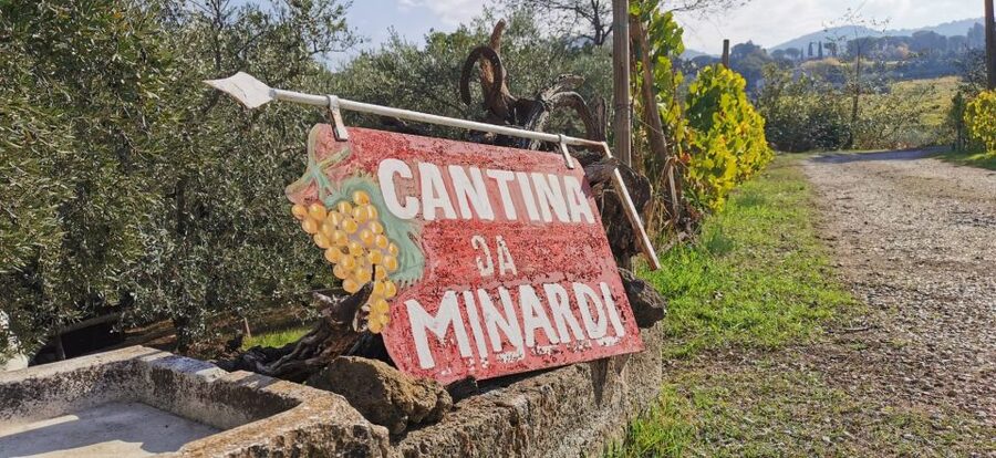 From Rome: Half-Day Frascati Wine Tour with Farmhouse Lunch - Old Cellar and Vineyard Visit: Where the Wine Story Gets Real