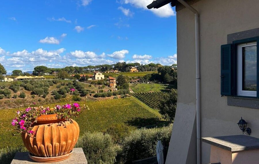 From Rome: Half-Day Frascati Wine Tour with Farmhouse Lunch - The 3-Wine Tasting and EVO Oil Moment