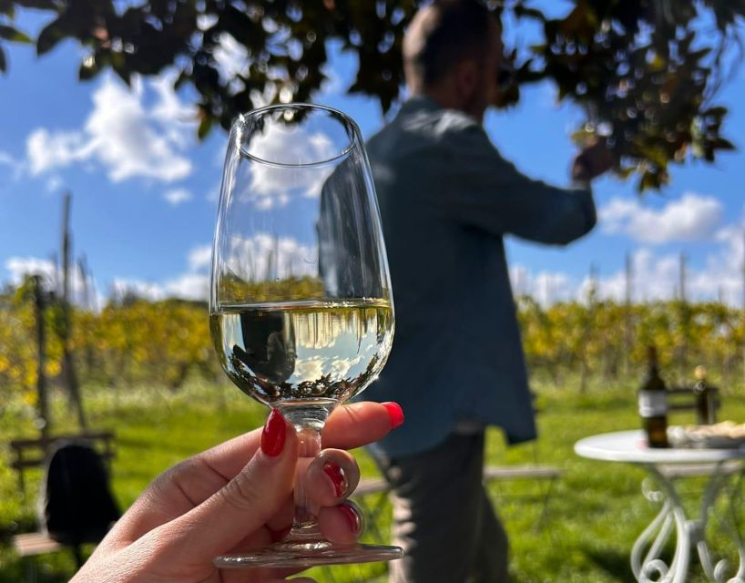 From Rome: Half-Day Frascati Wine Tour with Farmhouse Lunch - Chef Lunch at the Farmhouse, Local Specialties, and a Fun Bonus
