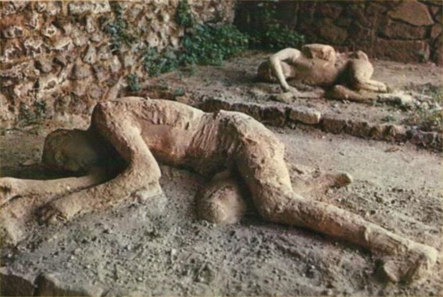 From Rome: Pompeii All-Inclusive Tour with Live Guide - Lunch at the restaurant: included pizza and a drink, with limited choice