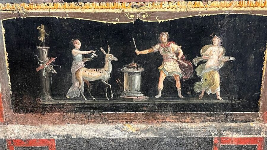 From Rome: Pompeii and Naples Day Trip by High-Speed Train - What you actually see at Pompeii: shops, homes, baths, and the human details