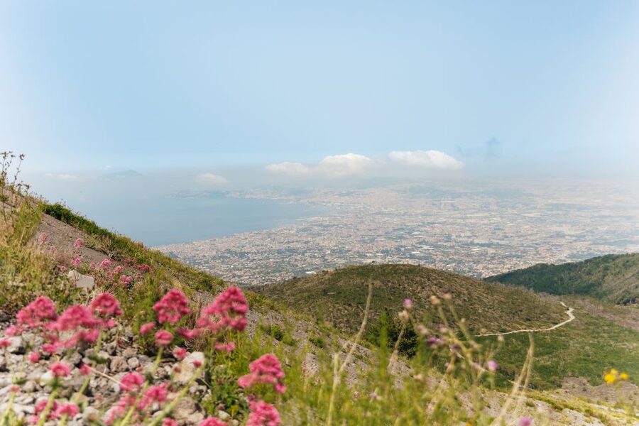 From Rome: Pompeii Day Trip with Optional Vesuvius and Lunch - FAQ