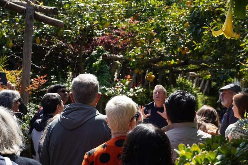 From Rome: Sorrento & Pompeii Day Trip with Guide or Ticket - A One-Day Combo That Actually Makes Sense