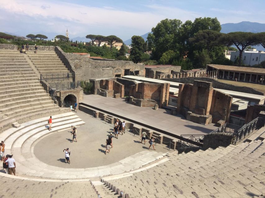 From Salerno: Pompeii Guided Walking Tour - Key things I’d watch for before you go