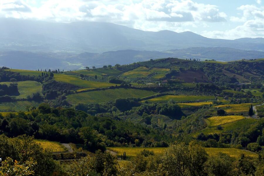 From Siena: Brunello di Montalcino Guided Wine Tour W/ Lunch - Lunch at a Family-Run Winery, Paired With Wine