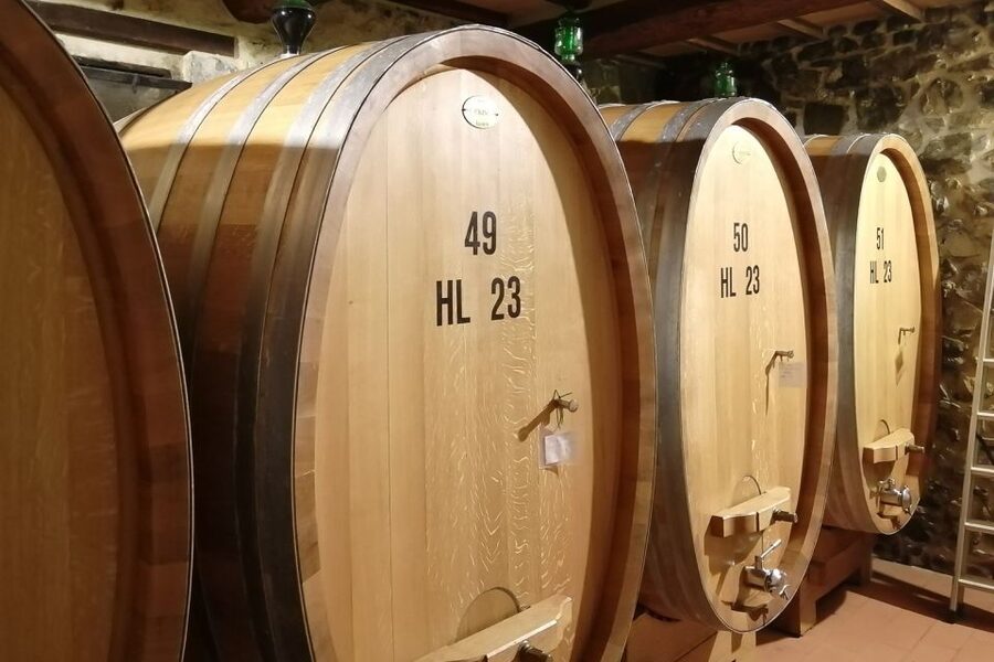 From Siena: Brunello di Montalcino Guided Wine Tour W/ Lunch - Timing, Transport, and What the Day Feels Like