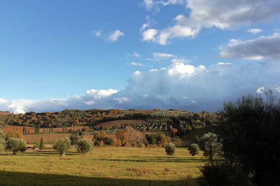From Siena: Brunello di Montalcino Guided Wine Tour W/ Lunch - What You’ll Learn About Brunello Along the Way