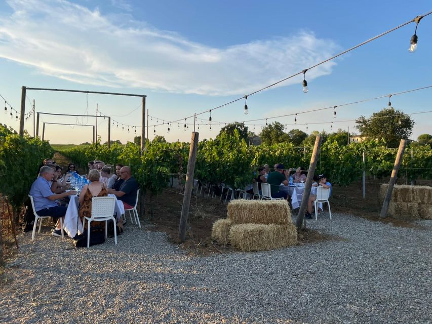 From Siena: Chianti and Castles Tour with Wine Tastings - Key things I’d plan around