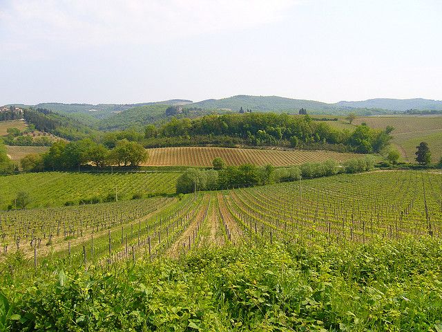 From Siena: Chianti and Castles Tour with Wine Tastings - Should you book this Chianti and Castles Tour from Siena?