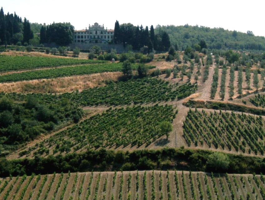 From Siena: Chianti and Castles Tour with Wine Tastings - Meeting at Hotel Minerva in Siena, then off into Chianti