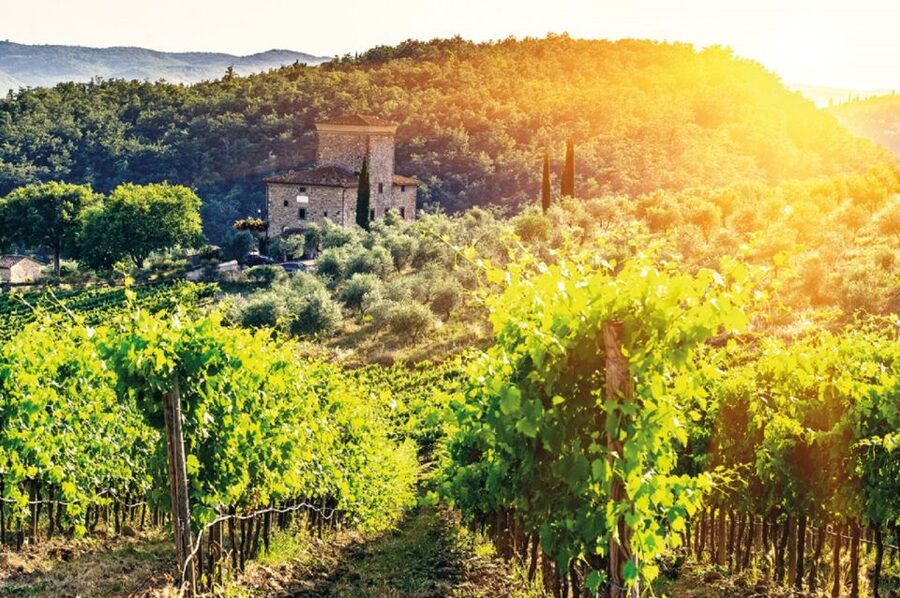 From Siena: Chianti and Castles Tour with Wine Tastings - Getting medieval views at Monteriggioni