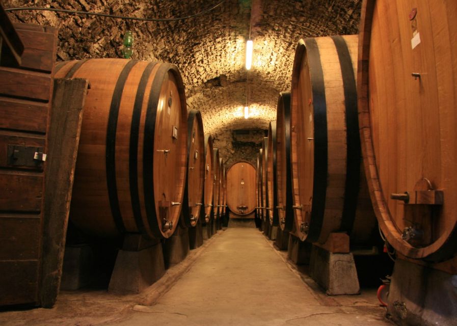 From Siena: Chianti and Castles Tour with Wine Tastings - Winery stop two in Chianti Classico: compare style and hosts