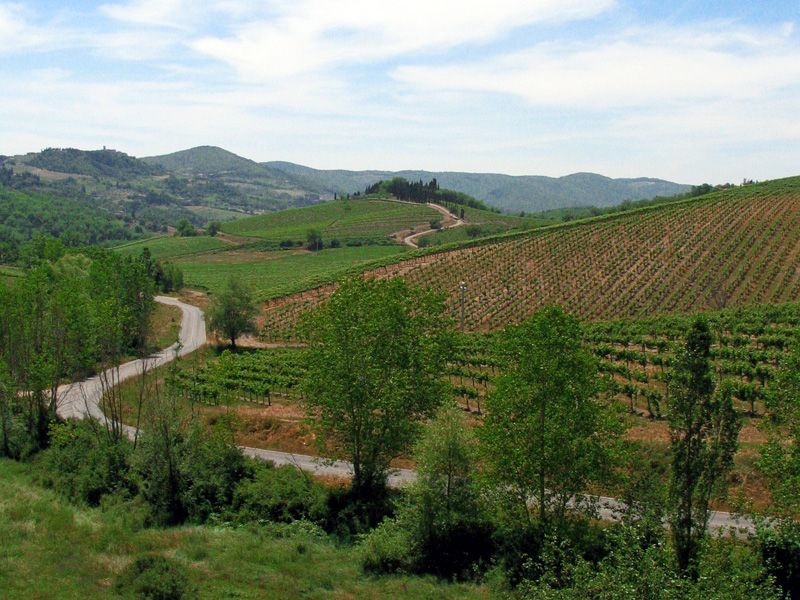 From Siena: Chianti and Castles Tour with Wine Tastings - The real value of two wineries plus two towns for $100