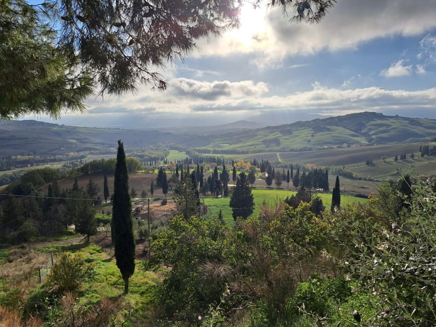 From Siena: Pienza and Montepulciano Small-Group Tour - Lunch at an organic farm: why this meal is more than a pit stop