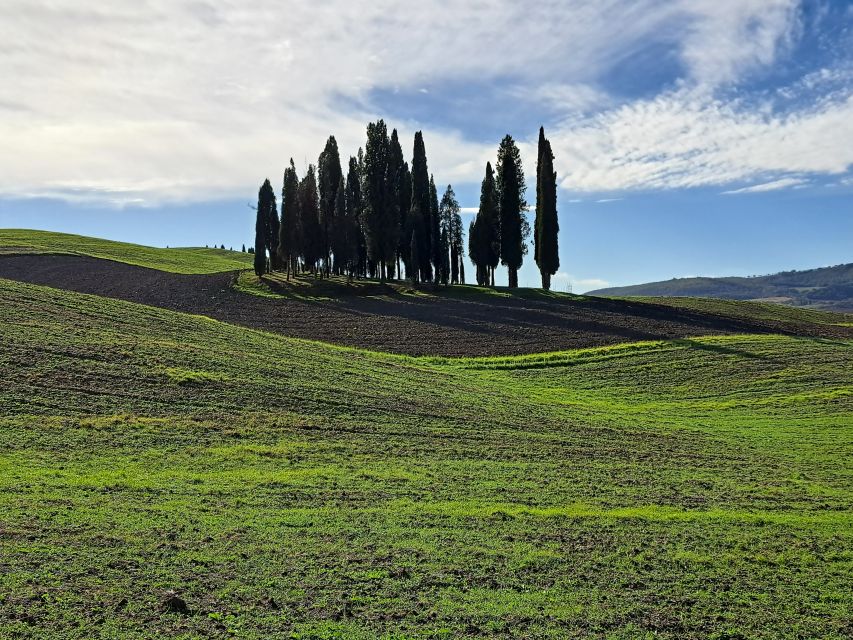 From Siena: Pienza and Montepulciano Small-Group Tour - FAQ