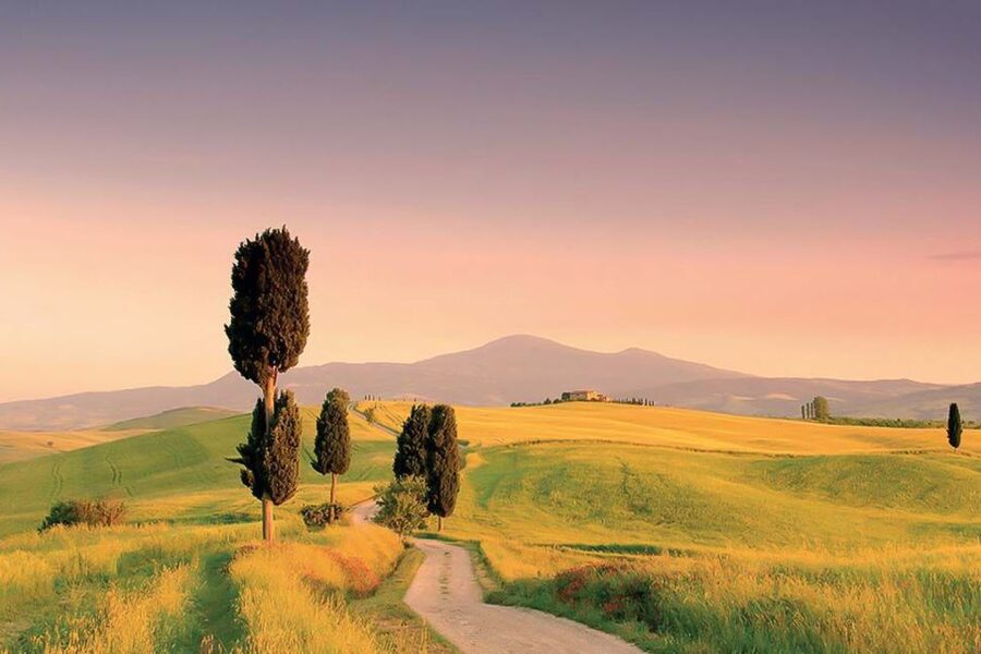 From Siena: Tuscany Hills Wine Tour - Price and value at about $146 per person