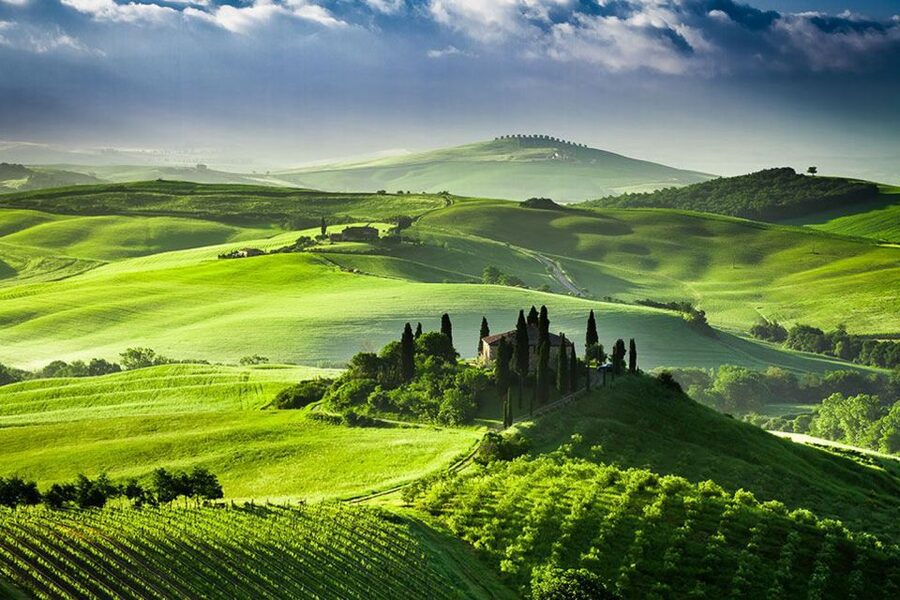 From Siena: Tuscany Hills Wine Tour - Val d’Orcia arrives in style, Pienza at your own pace