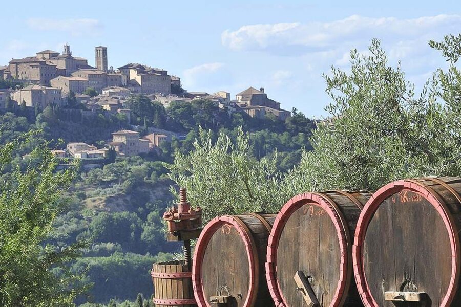 From Siena: Tuscany Hills Wine Tour - Walking, stairs, and transport, the logistics you should plan for