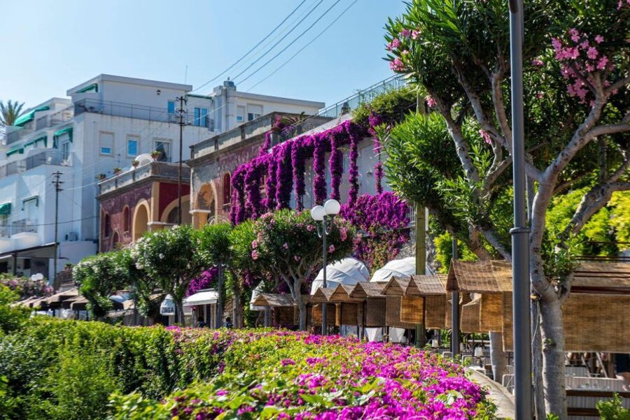 From Sorrento: Capri, Anacapri, & Blue Grotto Full-Day Trip - What Your Ticket Price Really Buys