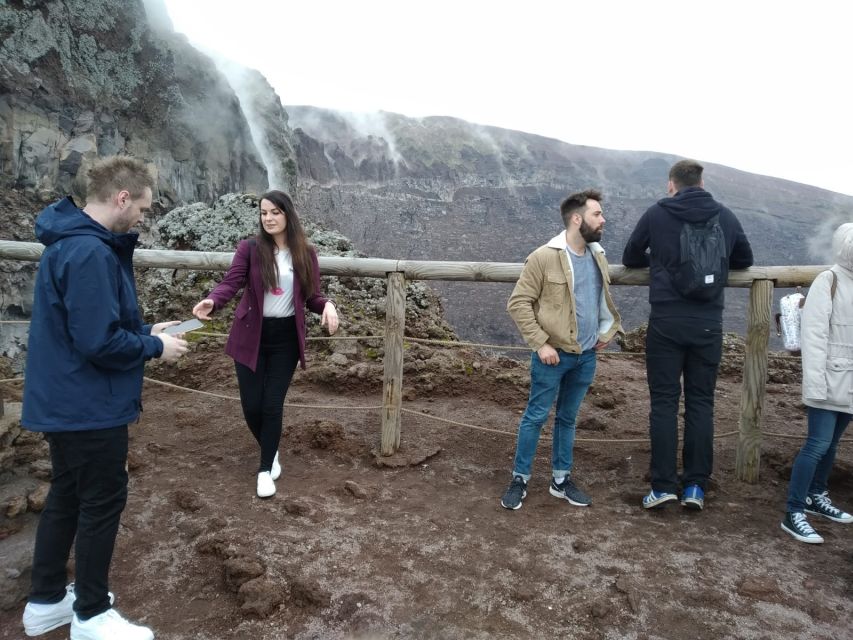 From Sorrento: Day Tour to Pompeii Ruins and Mount Vesuvius - Who should book this Pompeii and Vesuvius day trip